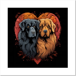 Tibetan Mastiff Couple Valentine Posters and Art